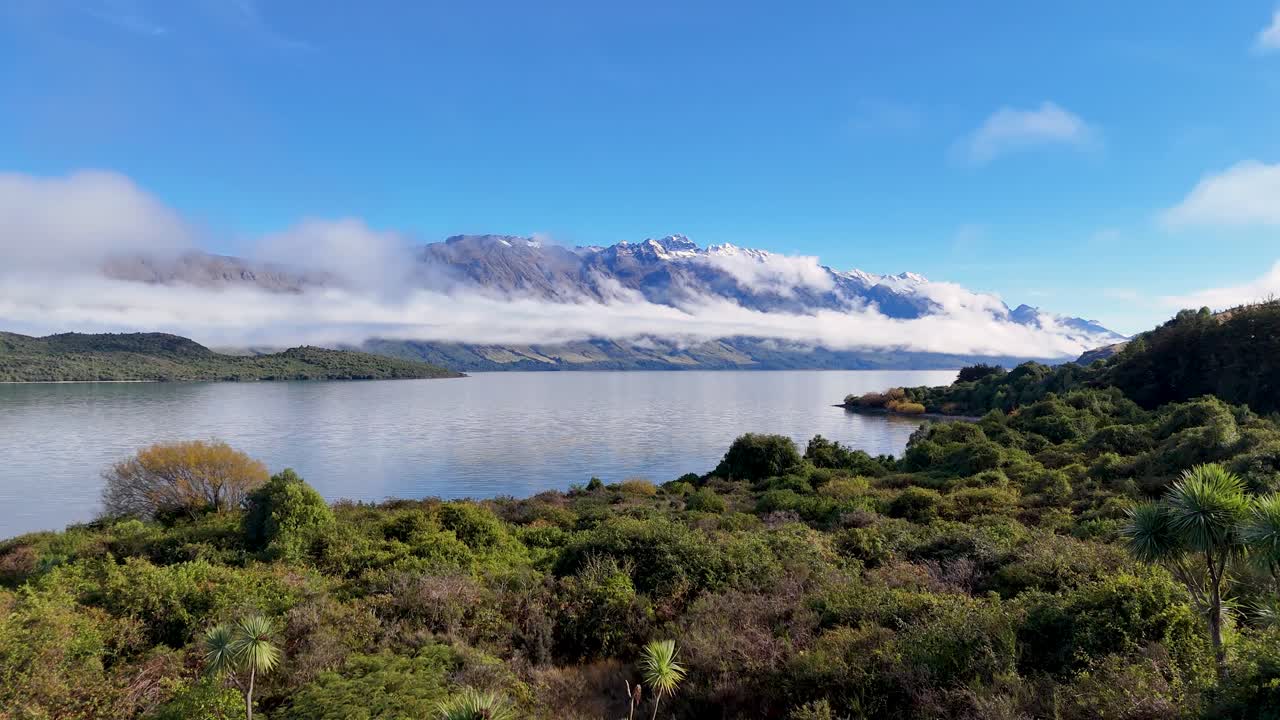Aerial view of lush greenery and Lake Wakatipu with snow-capped mountains under clear blue skies