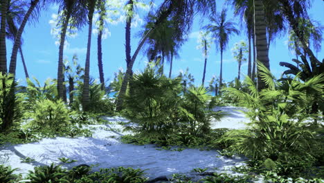 un paraíso de playas tropicales: arena blanca, palmeras y exuberante vegetación