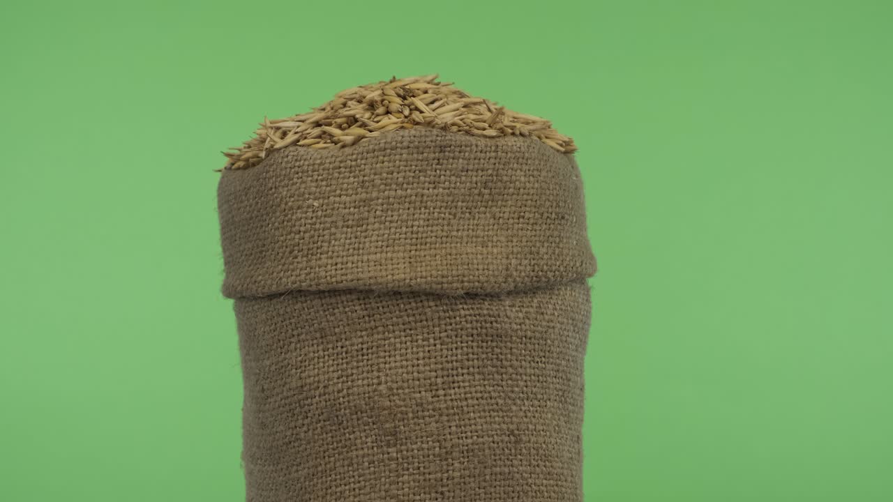 Rotating a full bag of oat grain. Close-up.