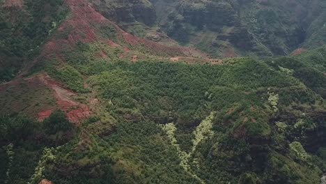 drone aerial pan down waimea canyon hawaii