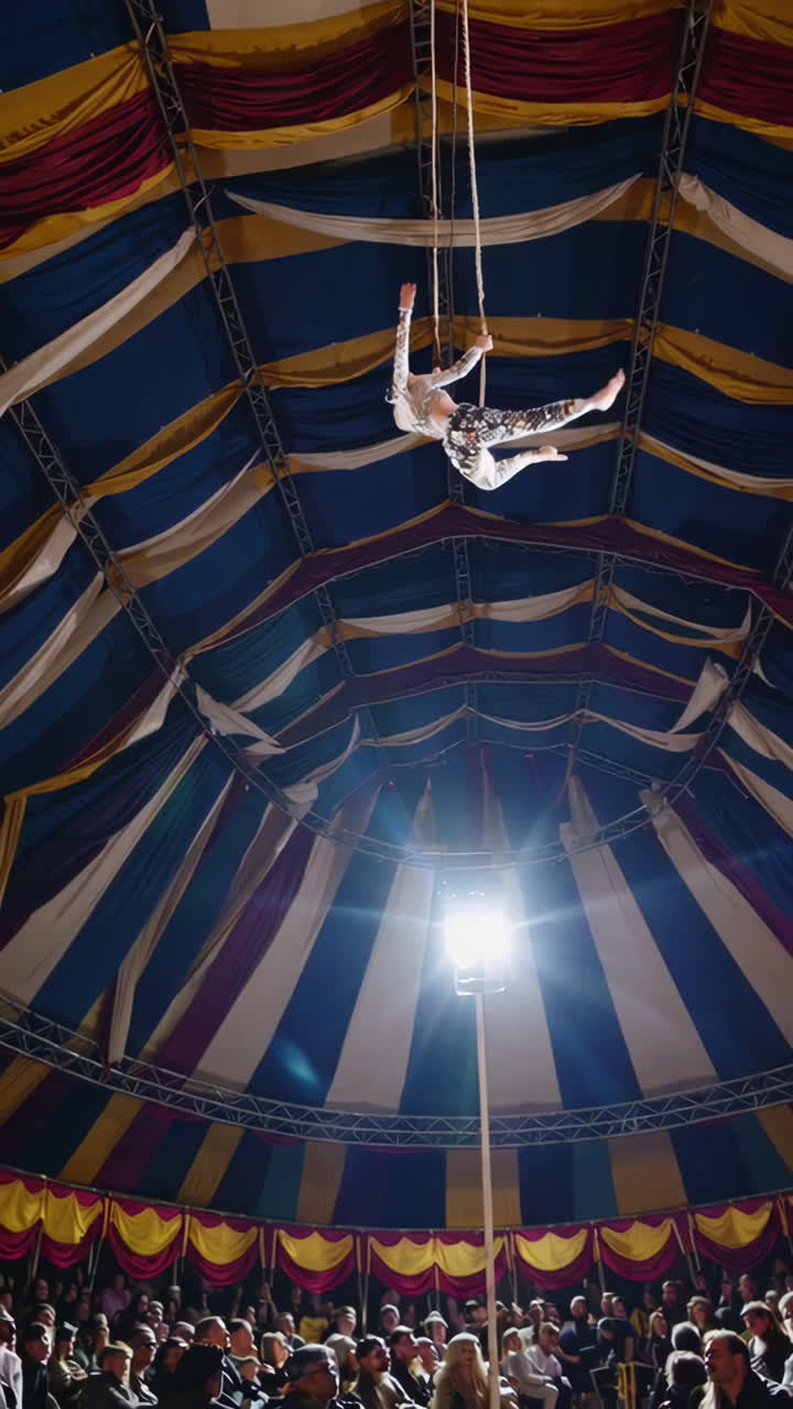 Circus Trapeze Artist