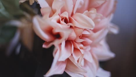 hermosa flor rosa en el interior en exhibición