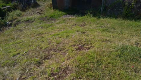 A-Panoramic-View-of-Cusilluchayoc-El-Templo-de-Los-Monos-in-Cusco-District,-Peru---Pan-Up