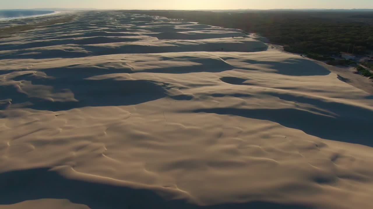 An ascending view of sand dunes as far as the eye can see with ocean on one side and forest on the other.