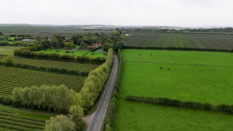 country road in canterbury nackington road leading away