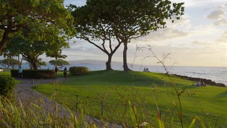 people enjoying a park at sunset in maui, hawaii