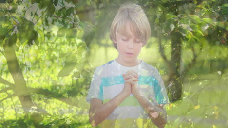 animación de un niño caucásico orando sobre árboles verdes en el fondo