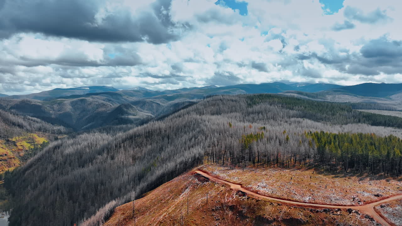Top of a bare mountains with some touristic trails on. Dead wood covering the slopes of the rocks. Aerial view.