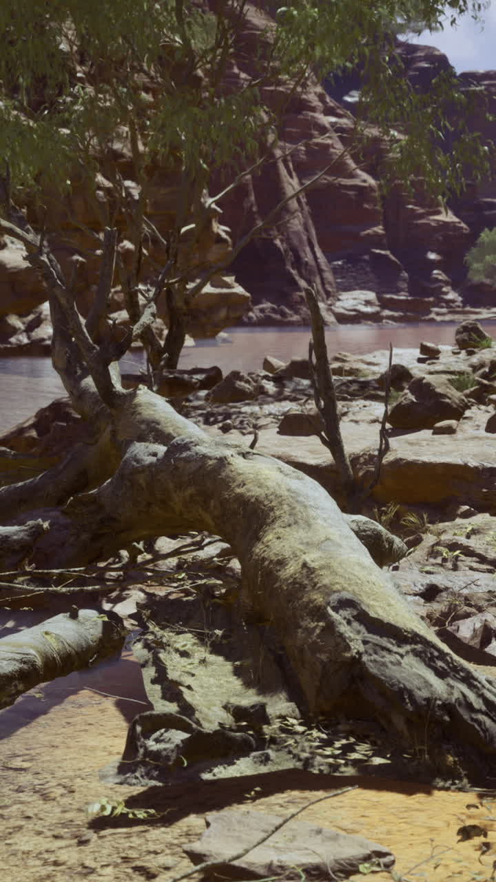 A tranquil desert landscape showcases a rocky riverbed with a large fallen tree