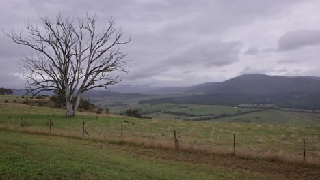 Blick-über-Die-Region-New-South-Wales-In-Der-Nähe-Des-Aussichtspunkts-Southern-Cloud-Memorial-An-Einem-Bewölkten-Tag