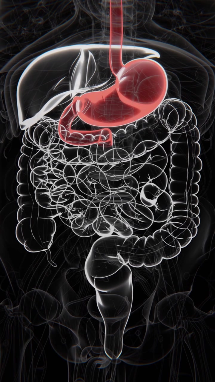 Acid reflux is a digestive condition in which stomach acid flows back into the esophagus, causing a burning sensation, chest discomfort, or irritation | Acid reflux indication Xray Video in UHD