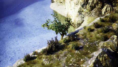 serene landscape with a lone tree by a tranquil body of water