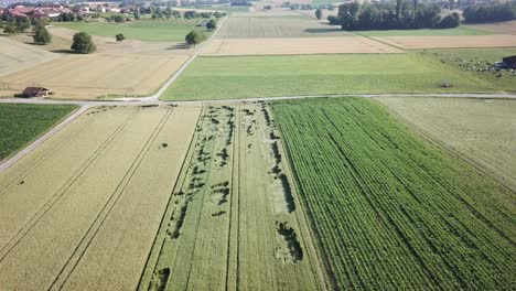 Vista-Aérea-De-Drones-De-Un-Campo-De-Agricultura-De-Trigo-En-El-Campo-Suizo,-Vaud,-Carreteras-Y-Pueblo-En-El-Fondo