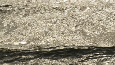 sunlight glistens on a rippling water surface