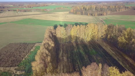 Luftlandschaft-Und-Waldansicht-Von-Oben-Nach-Unten-In-Zeitlupe