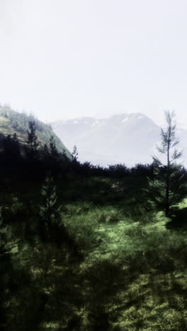exploring misty mountain landscape with lush greenery and distant peaks