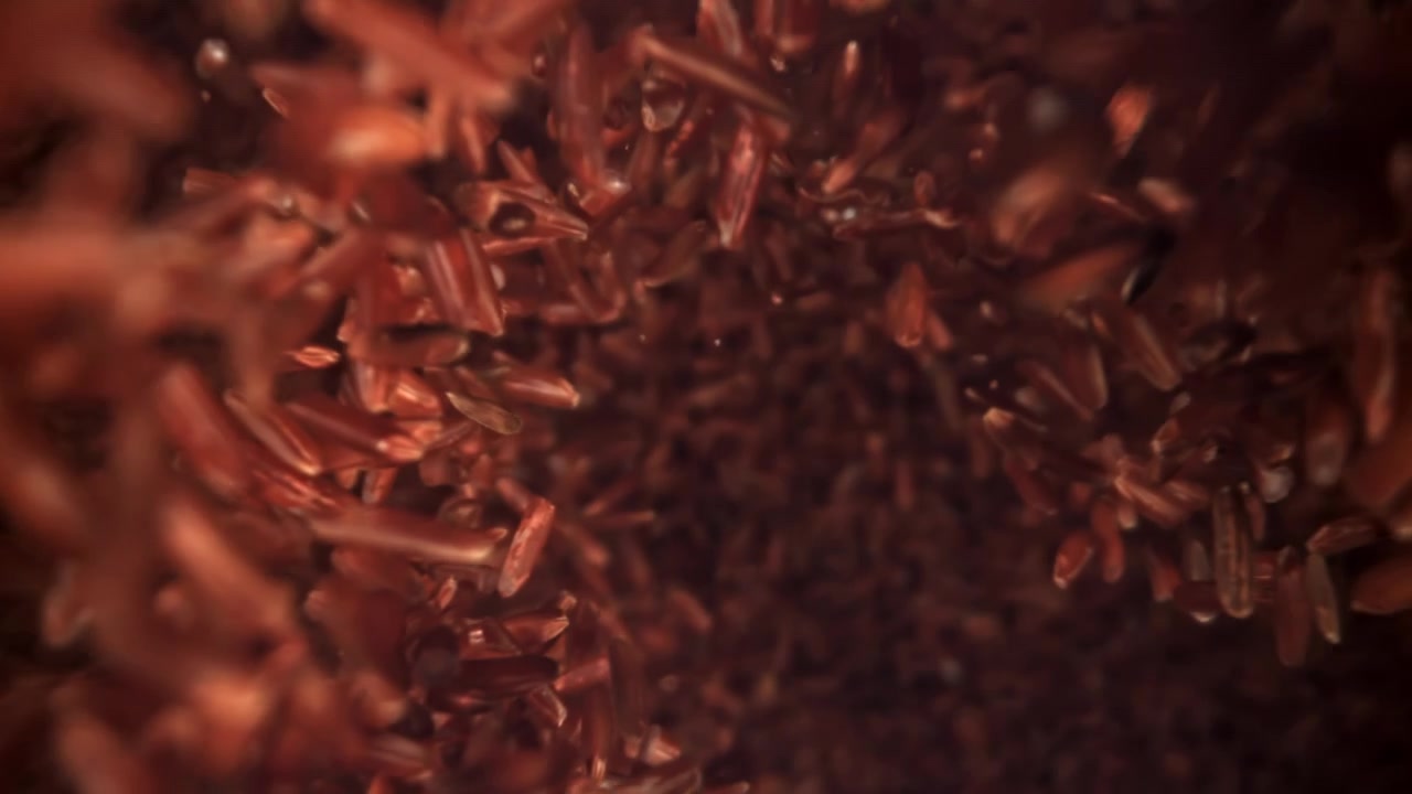 Grãos de Arroz Vermelho Caindo e Rodopiando em Câmera Lenta.