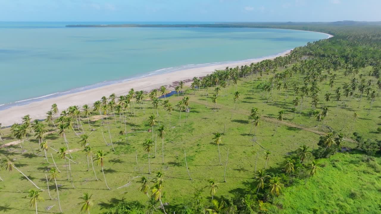 toma panorámica aérea del hermoso paraíso a la luz del sol que muestra el océano claro, la playa dorada y las palmeras en bahia esmeralda en miches, república dominicana
