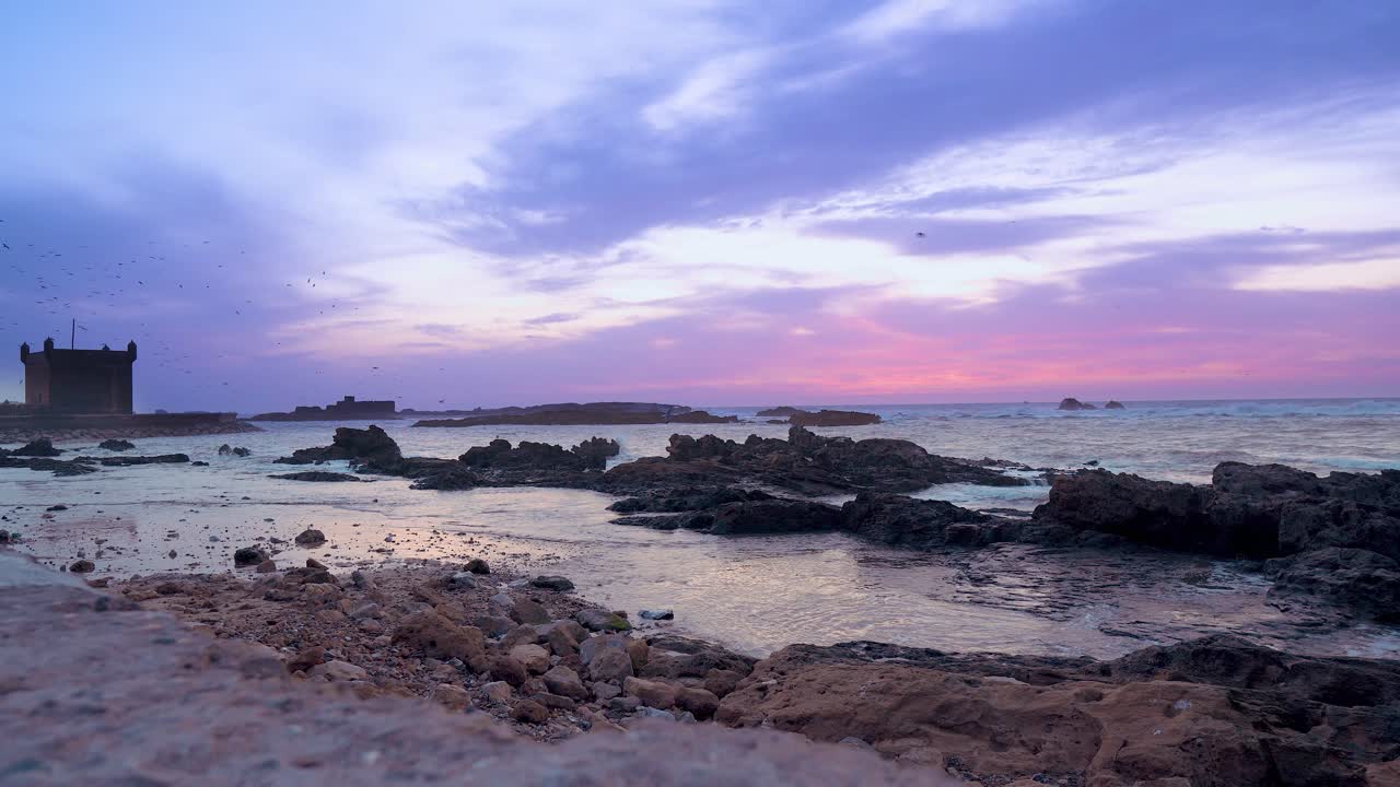 Atlantic coast with waves and seagulls at sunset. Ancient fortress in Morocco in the city of Essaouira. Shore with stones. Pink clouds in the blue sky