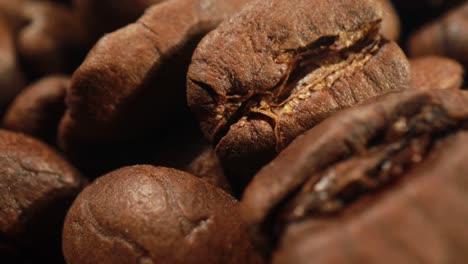 granos de café en primer plano