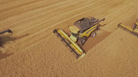 Drohne-Fliegt-über-Mähdrescher-Und-Sammelt-Während-Der-Erntesaison-Goldenen-Weizen