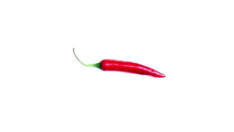 stop motion of fruit and vegetable moving on color background