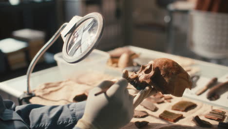 close-up of archaeologist brushing skull under magnifying lamp in laboratory