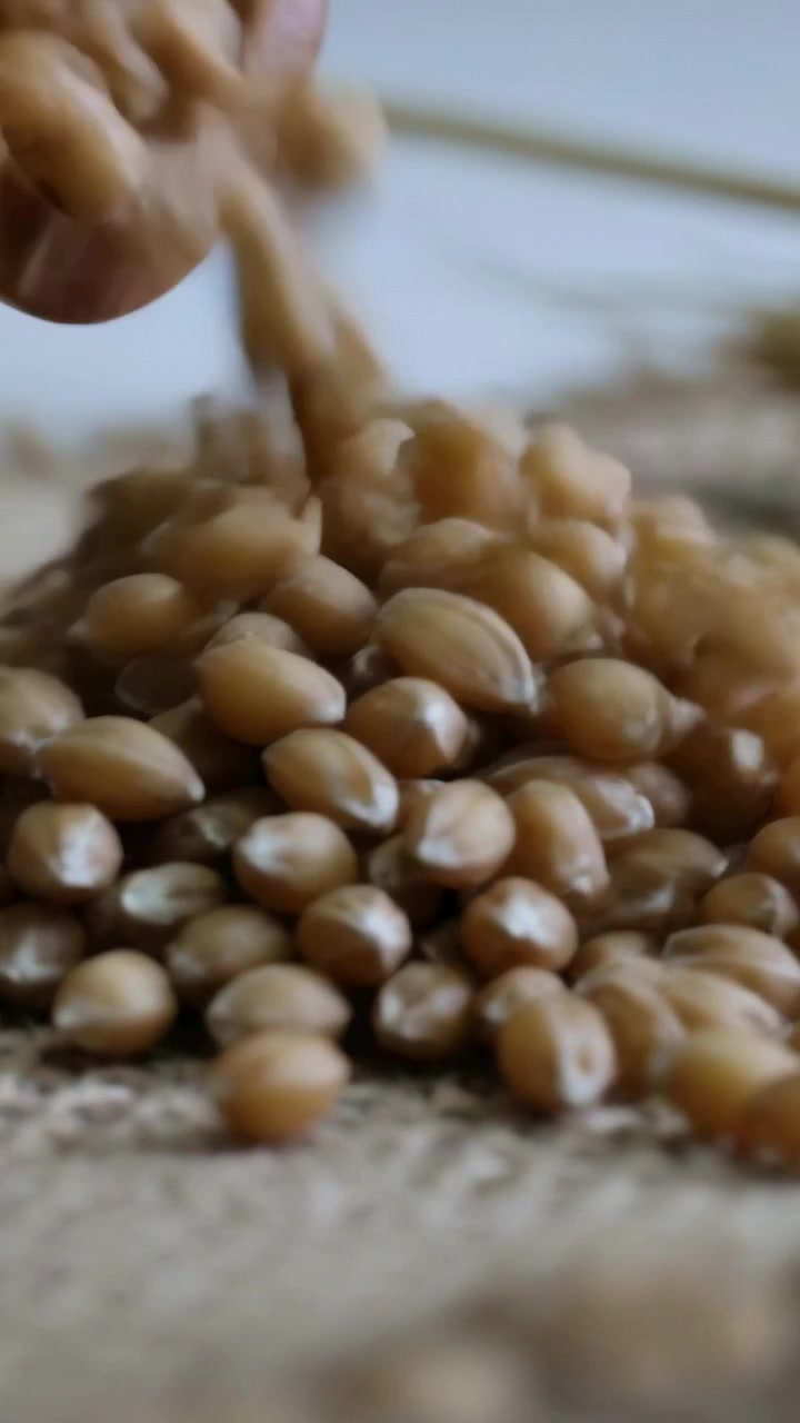Vertical video: Pouring wooden scoop sending brown kernels onto burlap mat, forming pile