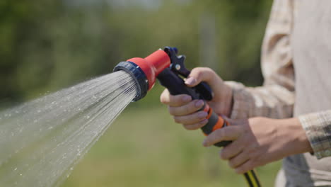 gardener sprays water from a garden hose 2