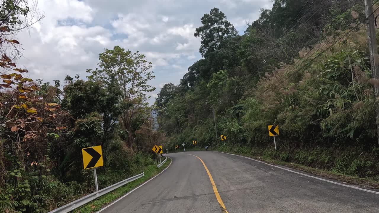 초록색 열대 숲 한가운데의  빈 곡선 도로