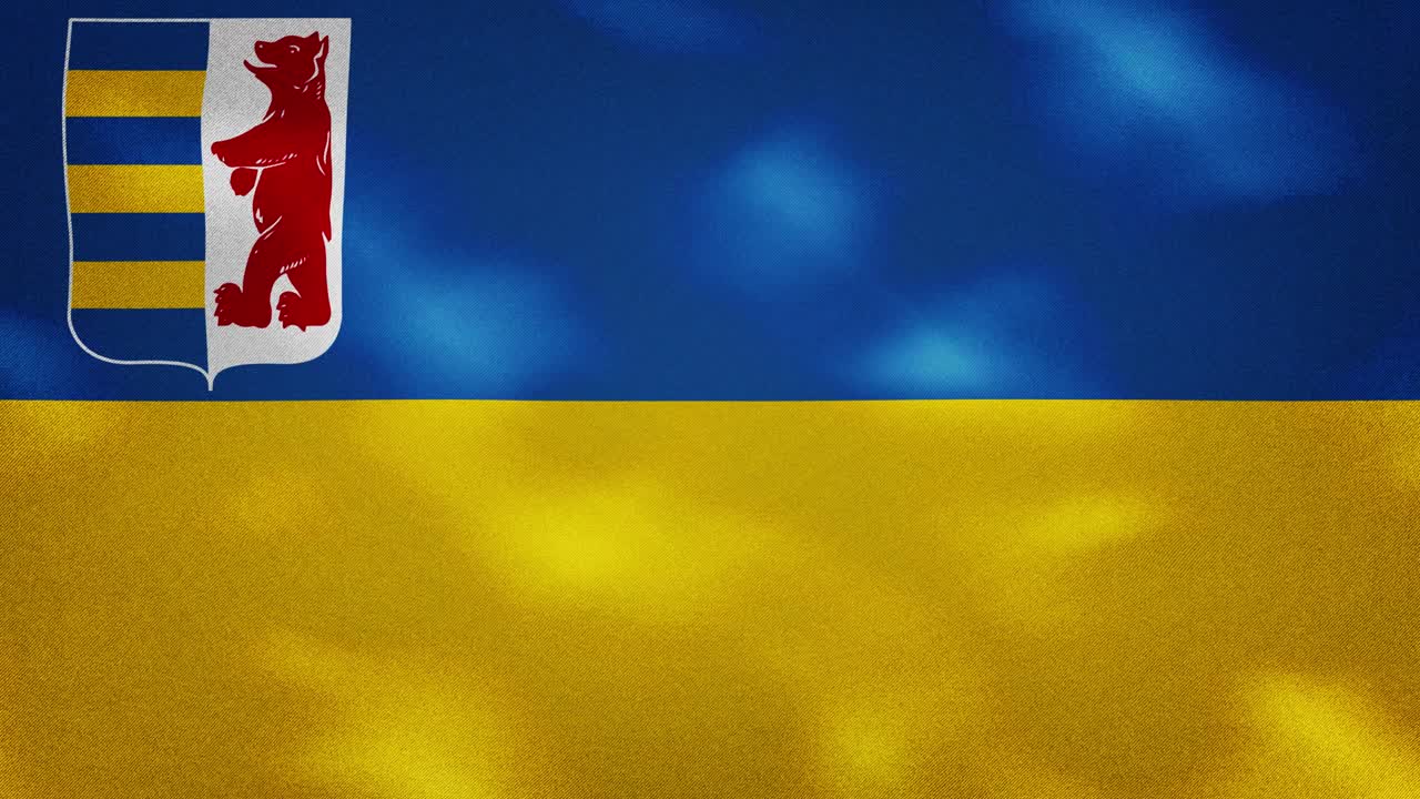 zakarpattia oblast 밀집된 발 직물 파동, 배경 루프