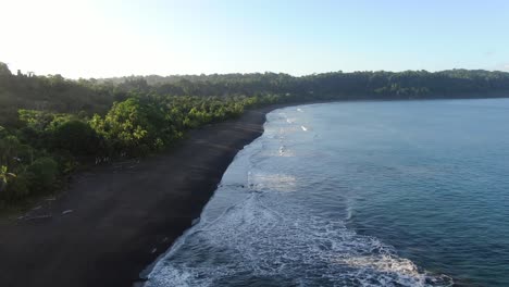 Costa-Rica-beach-drone-view-showing-sea,-shore-and-palm-tree-forest-in-Corcovado-National-Park-on-Osa-Peninsula-on-a-sunny-day-in-the-pacific-ocean-early-in-the-morning