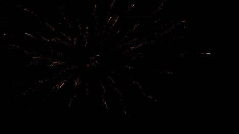 Feuerwerk-Explodiert-Vor-Schwarzem-Hintergrund