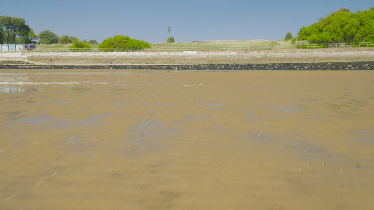 volando sobre las llanuras de barro en la playa durante la marea baja en harwich, essex, reino unido
