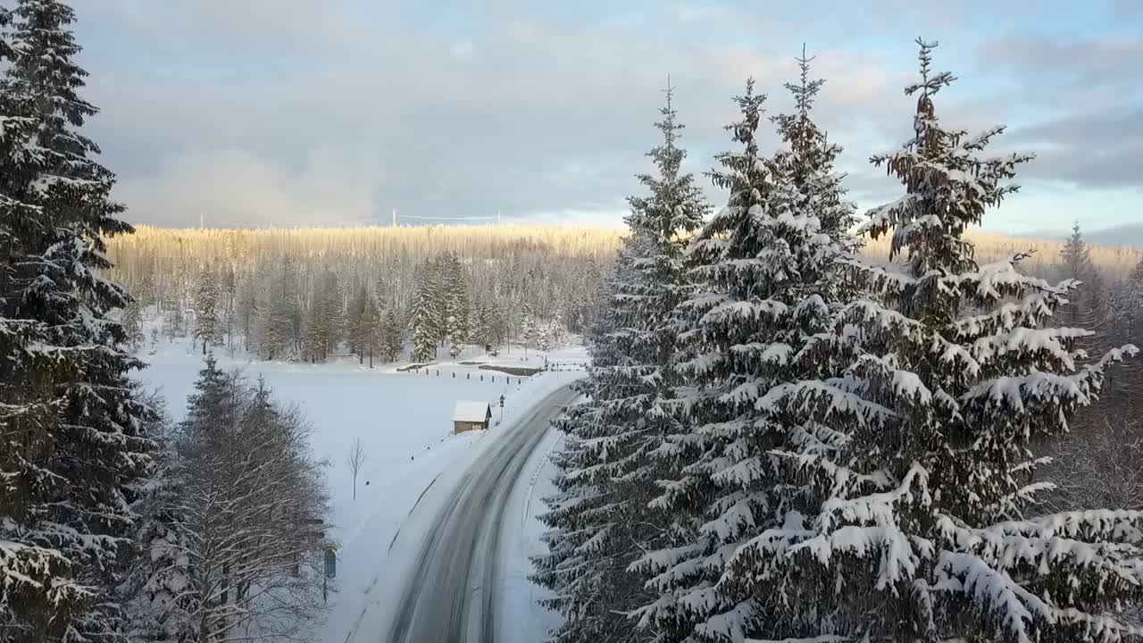 drone volando a través del camino del bosque de pinos del campo durante la temporada de invierno