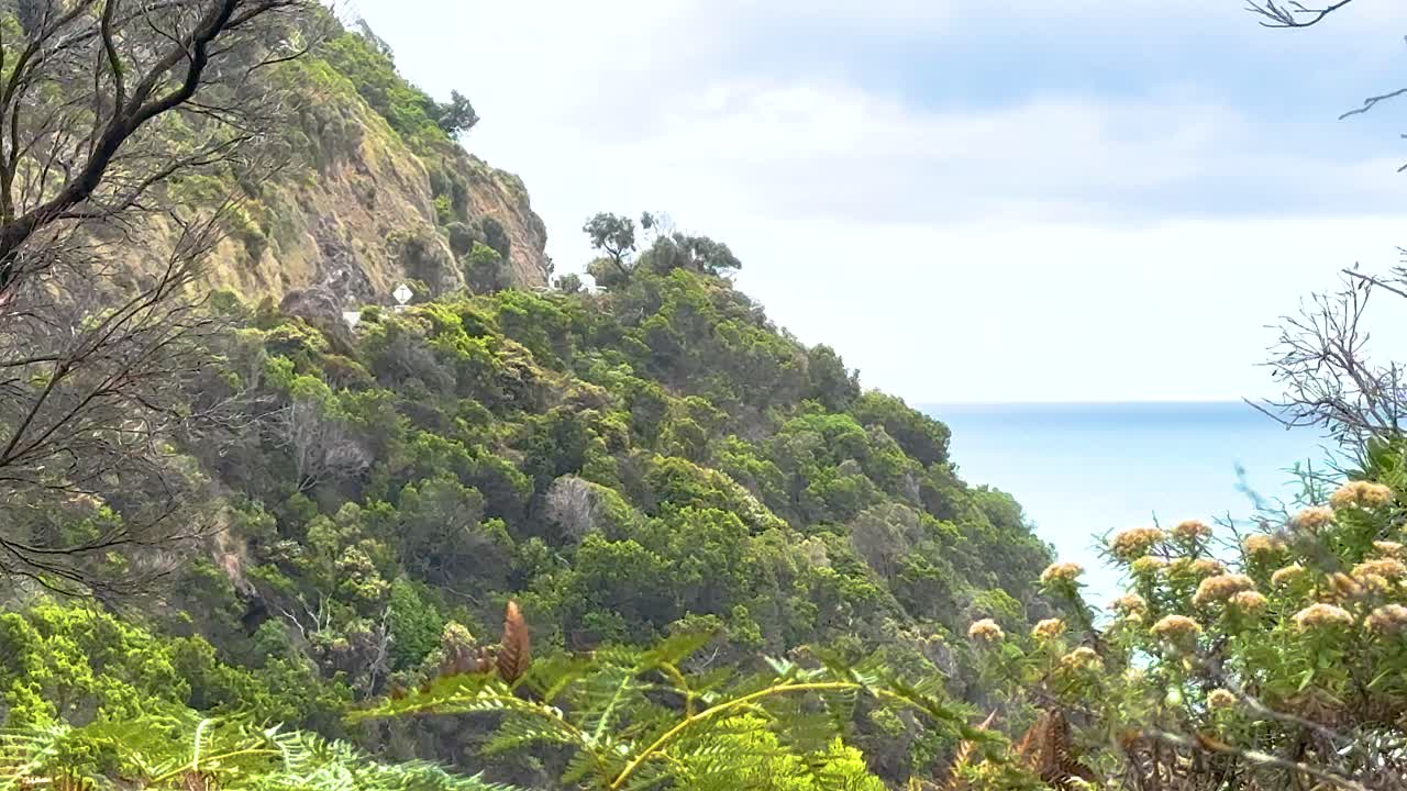 Lush greenery and ocean views along Great Ocean Road, captured in bright daylight with a serene atmosphere