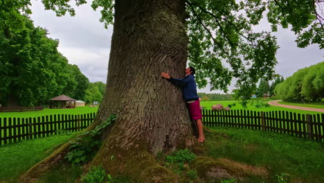 young man hugging massive oak tree in countryside landscape, dolly backward