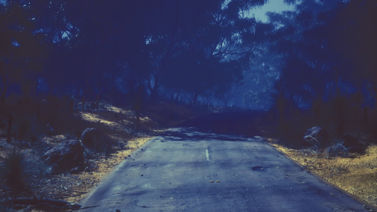 Mysterious twilight road winding through dense forest shadows