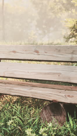 wooden bench in a park with fog