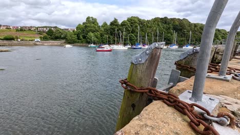 boats anchored at a scenic harbor