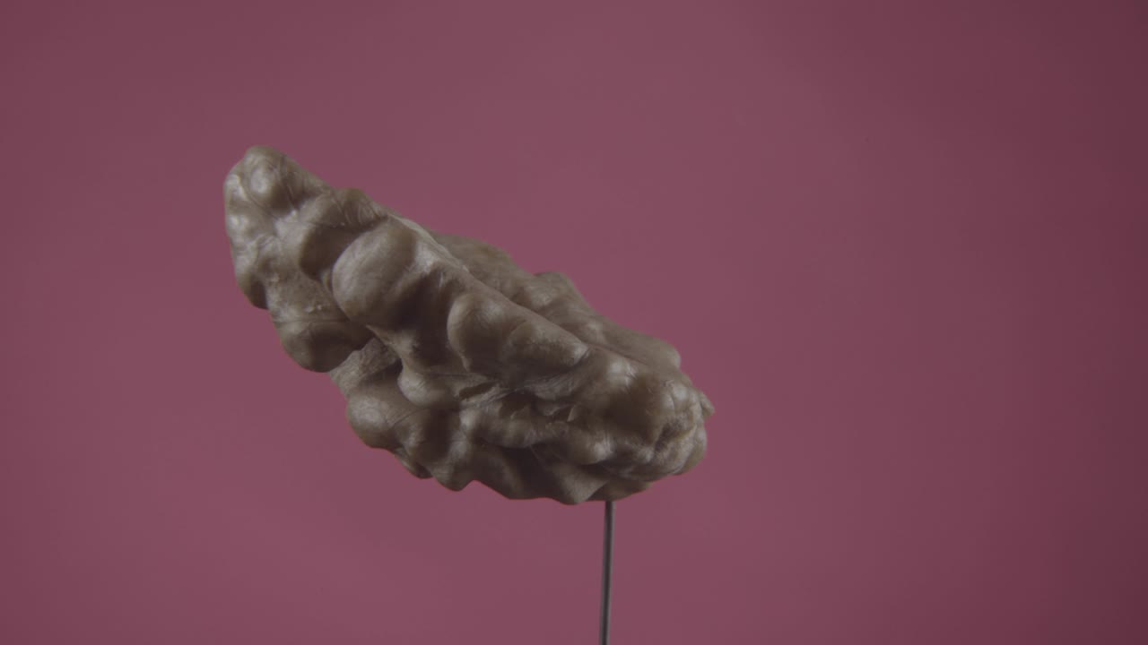 nuez girando con bucle en la pantalla de fucsia para la llave de croma