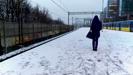 Frau-Von-Hinten-Wartet-An-Einem-Bahnhof-Bei-Schneefall,-Während-Ein-Zug-überquert