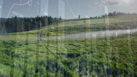 animación de gráficos financieros sobre el paisaje de prados