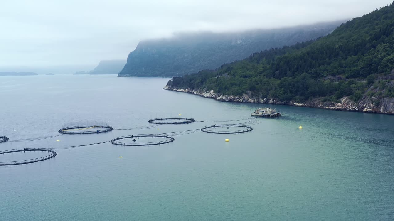 воздушные кадры рыболовства лосося на ферме в норвегии