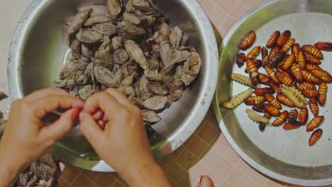 comida tradicional exótica de la india gusanos de seda de algodón servidos en tazones como comida