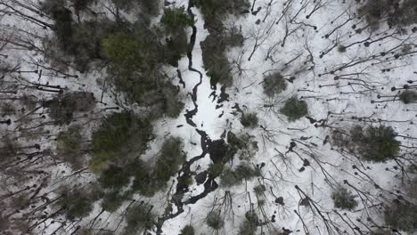 Northern-New-York-Flying-Looking-Down-On-Trout-Brook---4k-Aerial