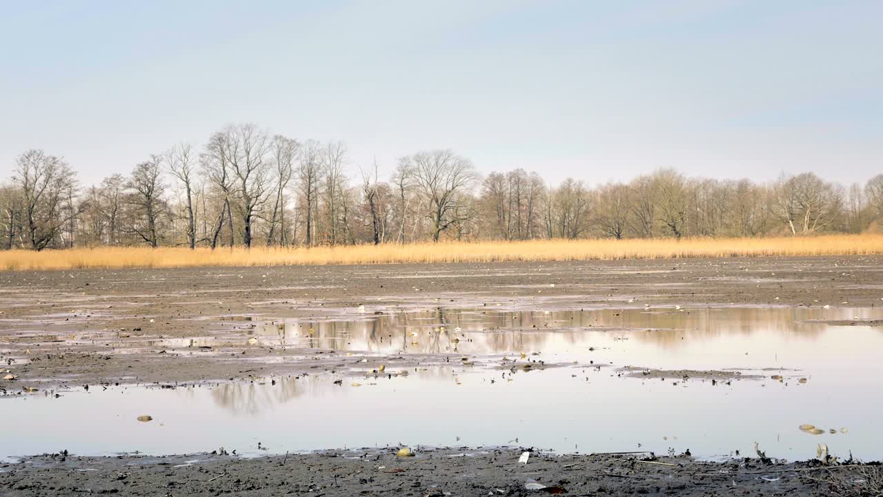 물이 없는  빈 연못을 떨어뜨렸습니다.