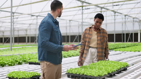 hydroponic farm, plants and people