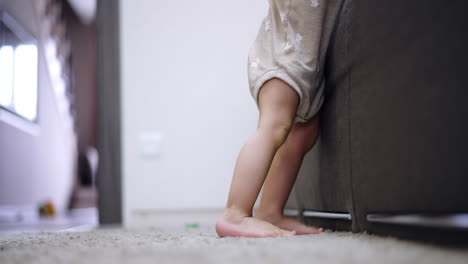 little boy stands at the sofa. toddler turns to the cat sitting on the floor and cuddles with it.