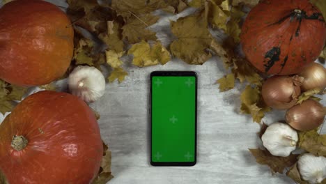 woman puts smartphone at the table among pumpkins and takes it away